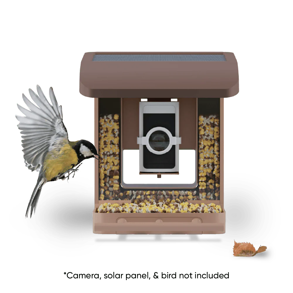 Wyze Bird Feeder
